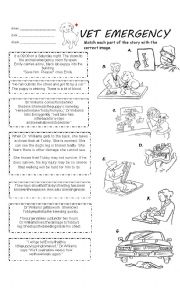 English Worksheet: Vet emergency