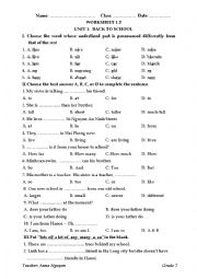 English Worksheet: many, much, lots of/ a lot of