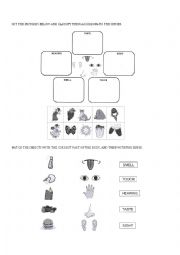 English Worksheet: THE FIVE SENSES