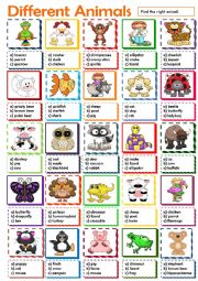 English Worksheet: Different Animals