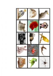 English Worksheet: Memory game - animals - pets