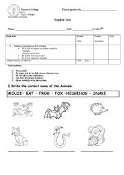 English Worksheet: Test Animals, can and cant