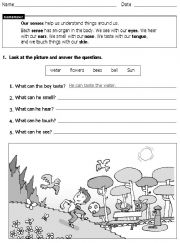 English Worksheet: Our senses