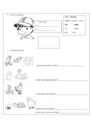 English Worksheet: Pets