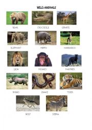 English Worksheet: wild animals presentation