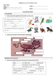 English Worksheet: test for 7th grade TO BE vs HAVE GOT