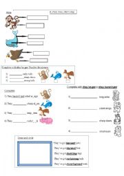 English Worksheet: have got-havent got