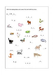 Animals