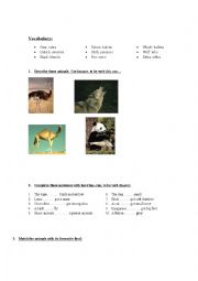 English Worksheet: animal description