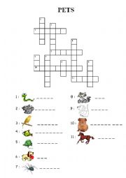 English Worksheet: pet crosswords