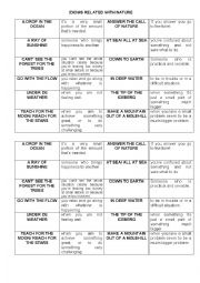 English Worksheet: Idioms related to nature