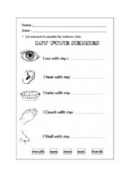 English Worksheet: Body Parts