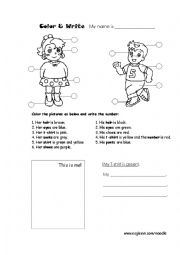 English Worksheet: Coloring the clothes