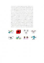 Word Search - Questions