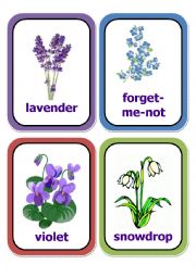 English Worksheet: flowers cards part 2