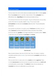 English Worksheet: Reading and Speaking : Food chain