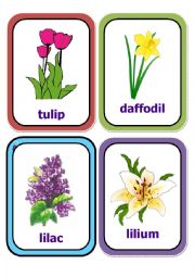 English Worksheet: flowers cards part 1