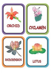English Worksheet: flowers cards part 3