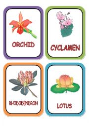 flowers cards part 3