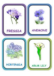 English Worksheet: flowers cards part 4