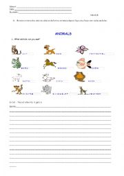 English Worksheet: animals