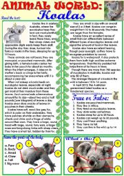 English Worksheet: Animal World: Koalas