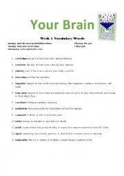 English Worksheet: Your Brain Vocabulary Words