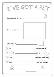 English Worksheet: Ive got a pet