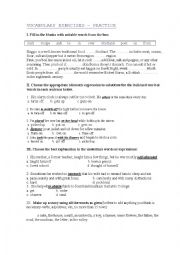 English Worksheet: Vocabulary Exercises-Practice