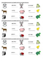 English Worksheet: ANIMALS