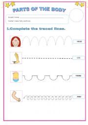 English Worksheet: Parts of the body