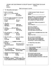 worksheet for 8th graders