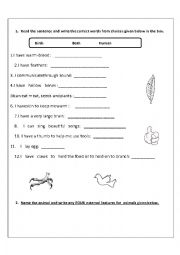 English Worksheet: Animal and birds