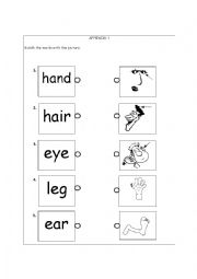 English Worksheet: body parts