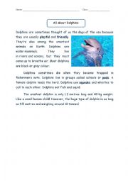 English Worksheet: Reading Comprehension: All About Dolphin