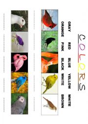 English Worksheet: colors