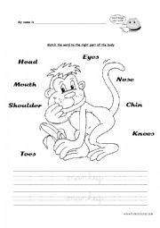 English Worksheet: Parts of the body