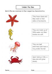 English Worksheet: Under the Sea 1