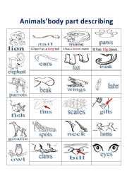 English Worksheet: animals�body parts 1