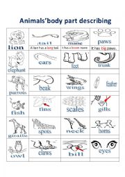 English Worksheet: animalsbody parts 1