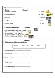 English Worksheet: describing objects through senses