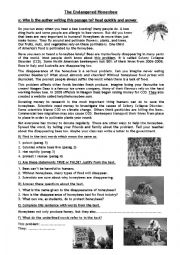 English Worksheet: the endangered honeybee