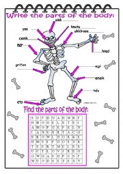 English Worksheet: Parts of the Body