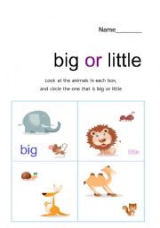 English Worksheet: big and little