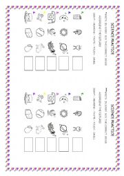 English Worksheet: sense practice