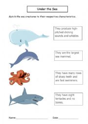 English Worksheet: Under the Sea 1