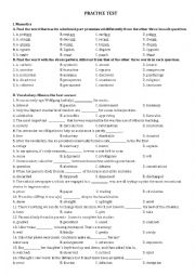 English Worksheet: Practice Test for the Gifted