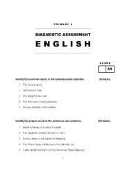 Primary / Year 4 Diagnostics Assessment