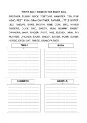 English Worksheet: Animals, numbers,  body, family