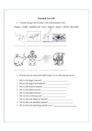 English Worksheet: Mammal Records